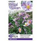 Anemone Regal Swan