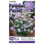 Scabiosa Powder Puff