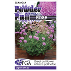 Scabiosa Powder Puff