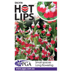 Salvia Hot Lips