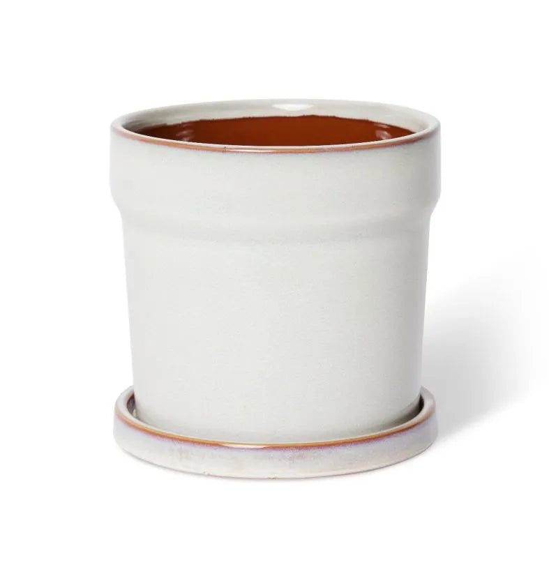 Austin Pot AcornNursery