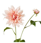 Dahlia Spray Pink