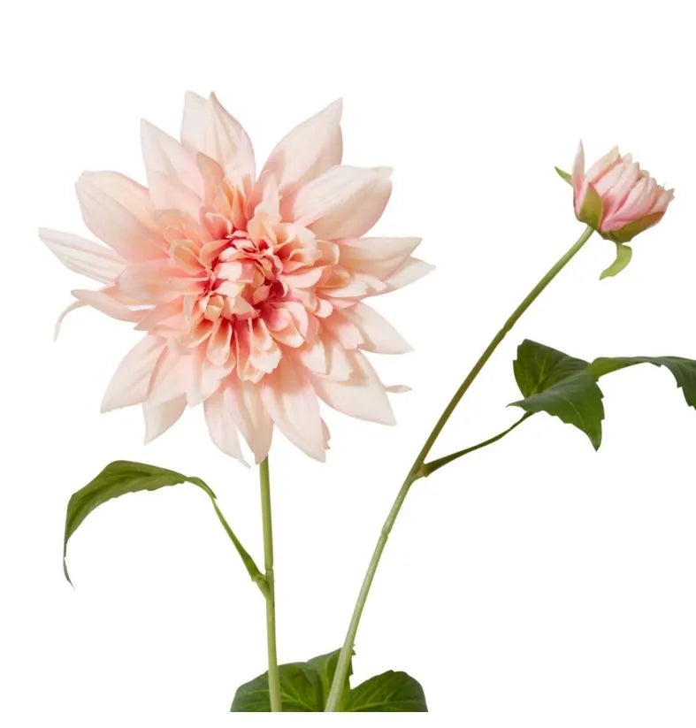 Dahlia Spray Pink
