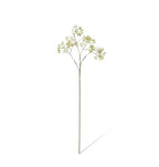 Seeding Berry Stem Light Green