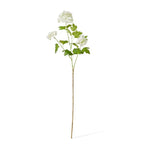 Snowball Spray White