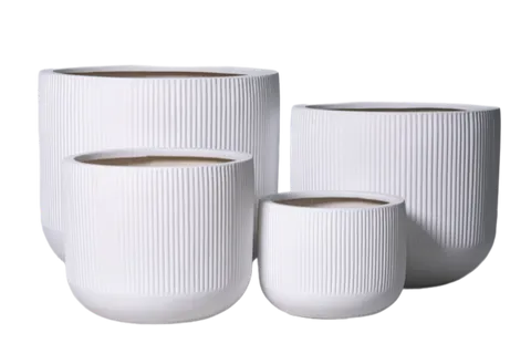 Bowen Pot