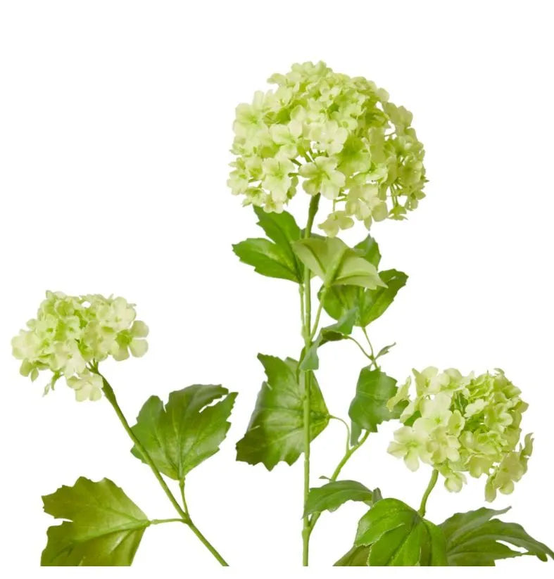 Snowball Spray Light Green