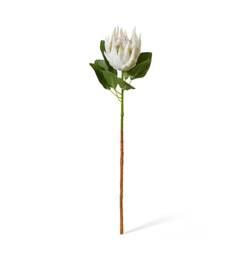 Protea King Stem Off White