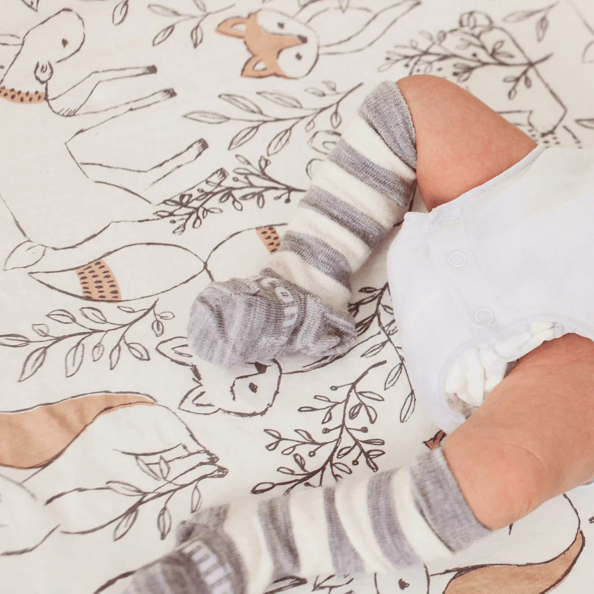 Lamington Pebble Knee High Baby Socks
