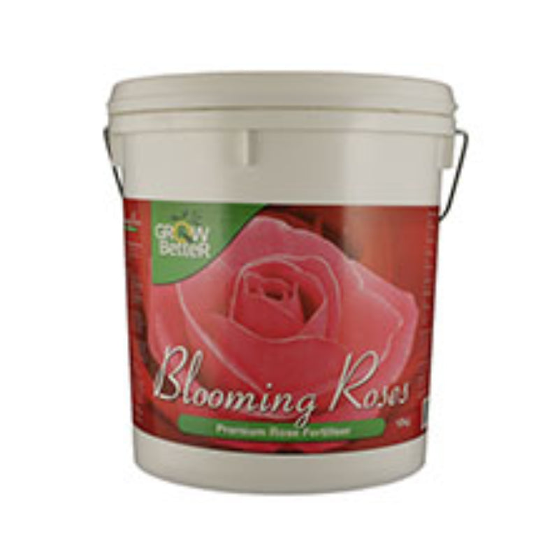 Blooming Roses