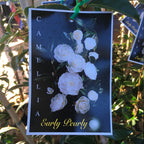 Camellia Early Pearly
