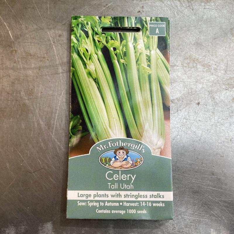 Celery Tall Utah Seeds Mr Fothergill’s