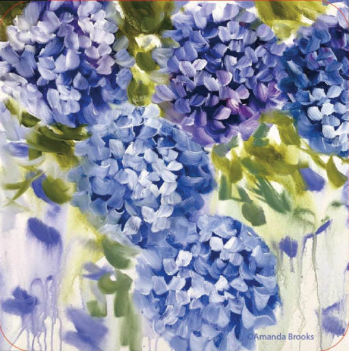 Hydrangea HB Coaster