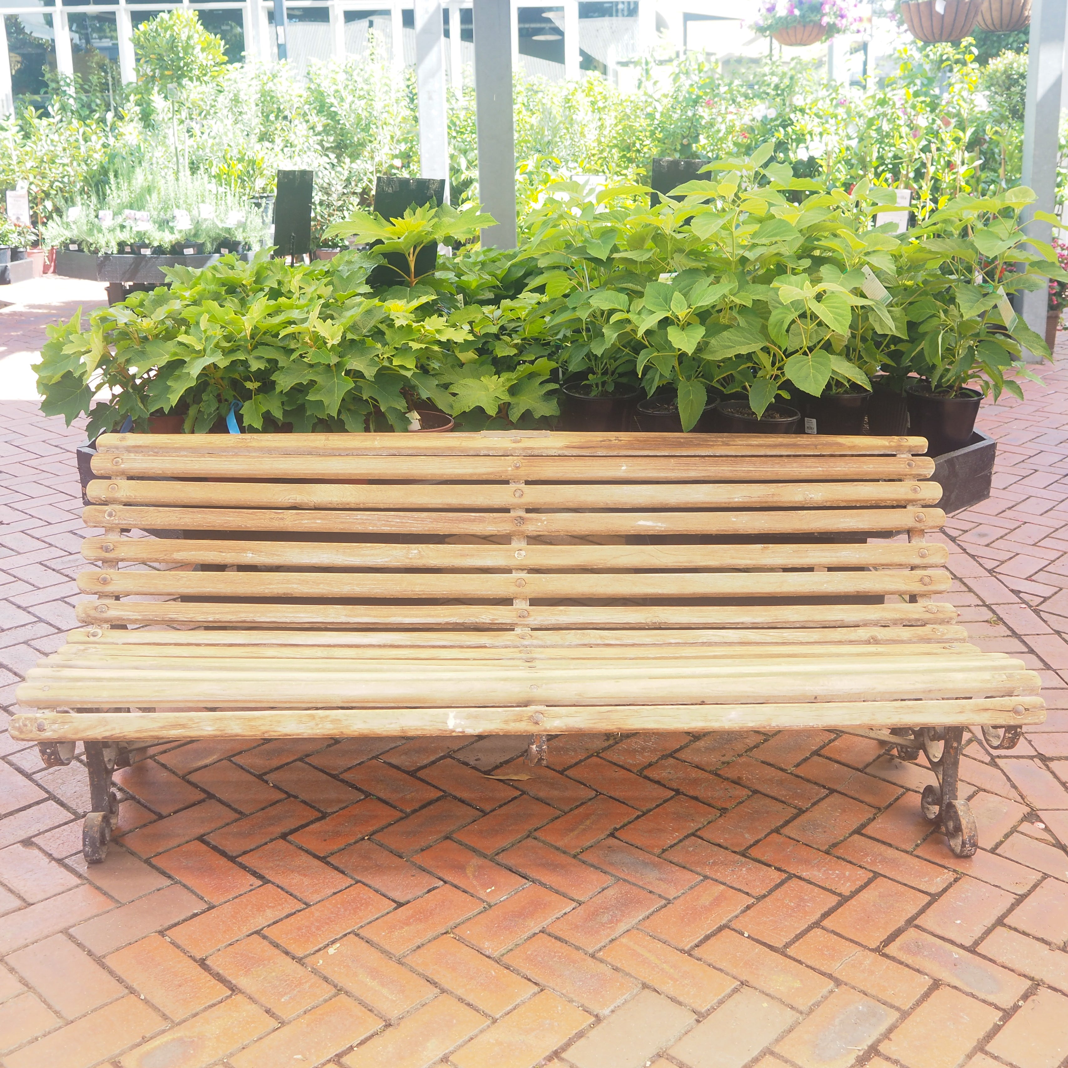 Bleached Timber Bench