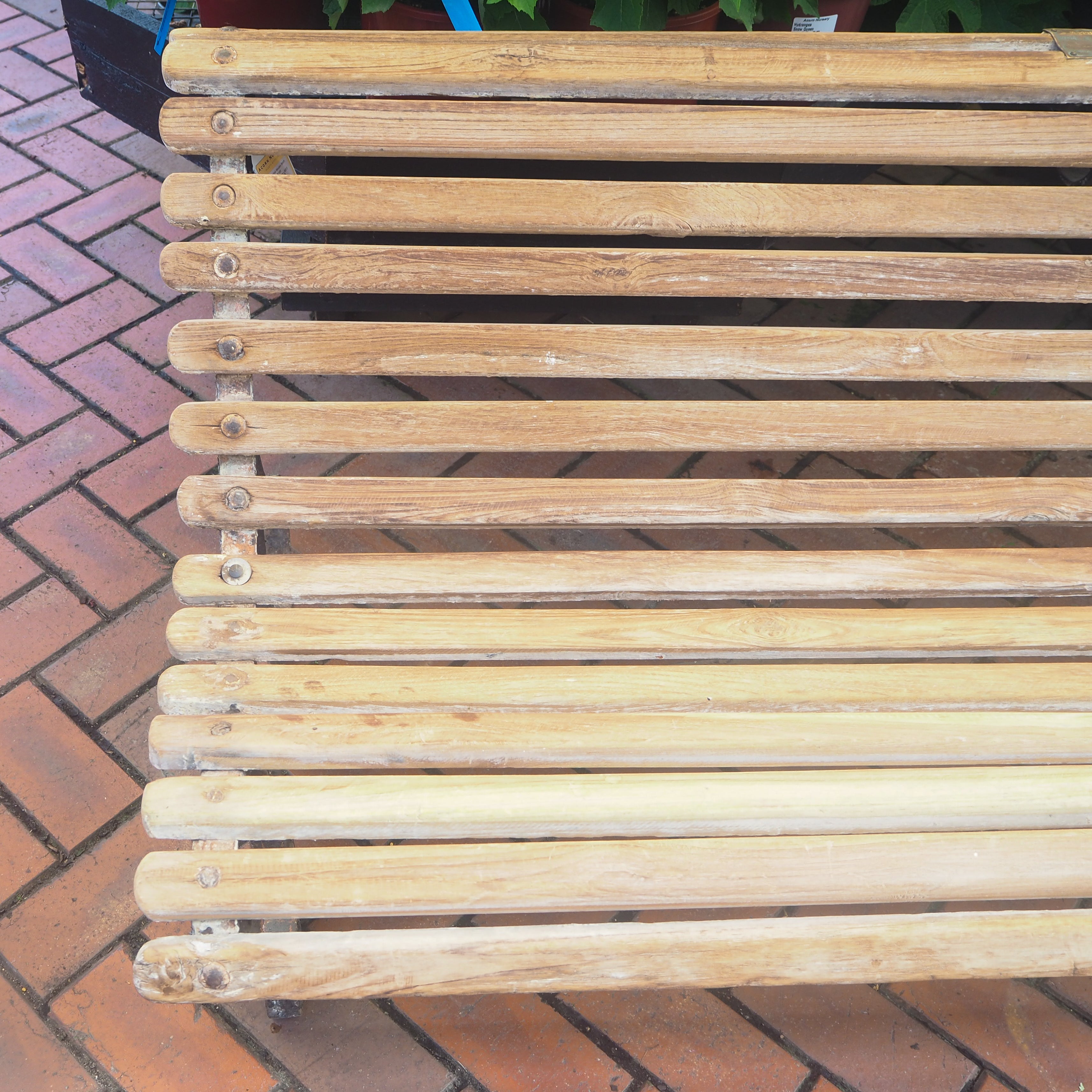 Bleached Timber Bench