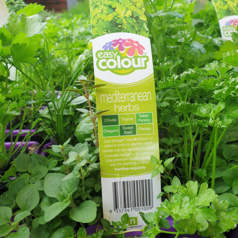 Herbs Mediterranean Easy Colour