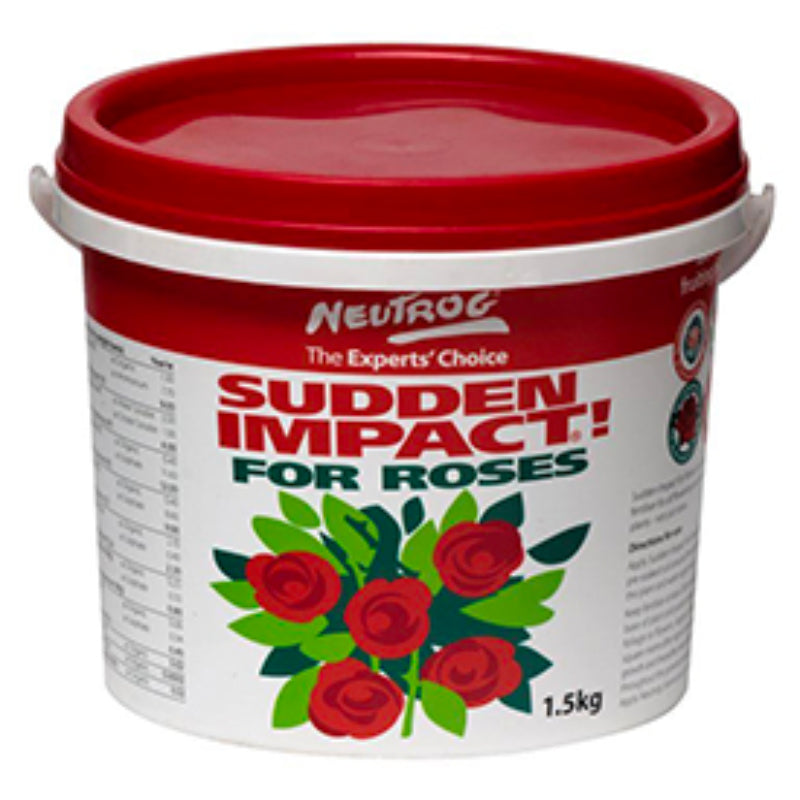 Sudden Impact for Roses