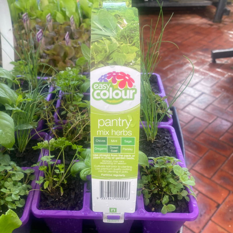 Herbs Pantry Mix Easy Colour