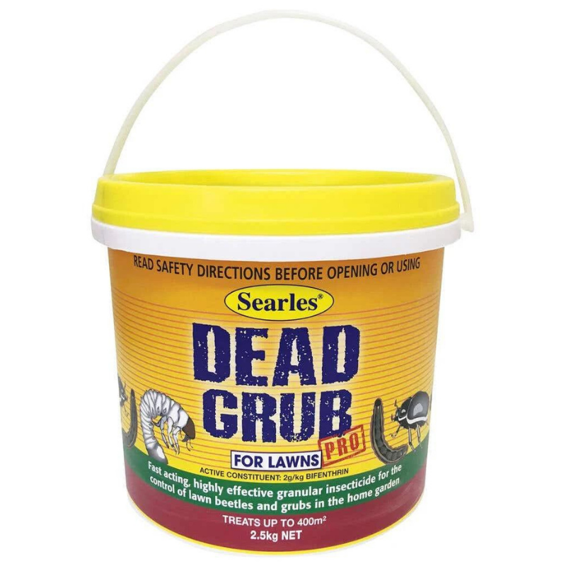 Dead Grub
