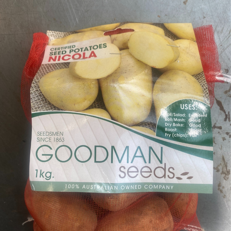 Potato Seed