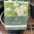 Vanessa Bell Rose