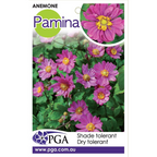 Anemone Pamina