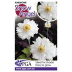 Anemone Snow Angel PGA