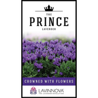 Lavender The Prince PGA
