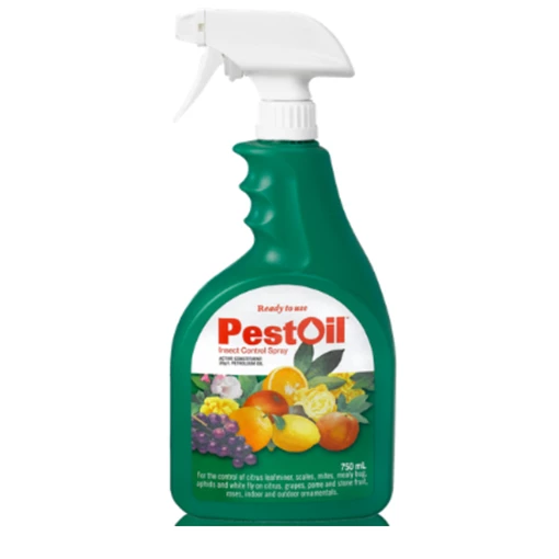 Pest Oil RTU